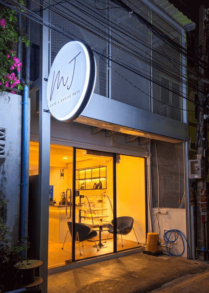 MJ & J Exotics shop interior